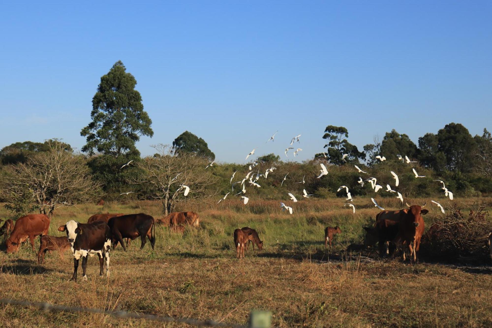 Siteki Mabuda Guest Farm מראה חיצוני תמונה